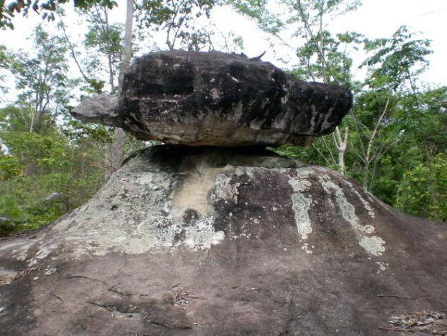 SANY6990.jpg